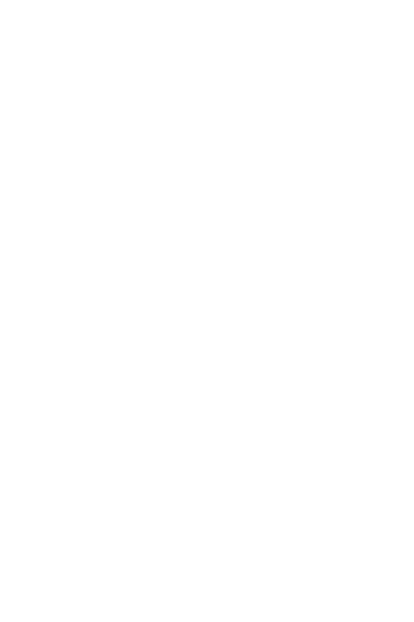 Obscura Form
